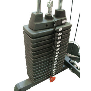SP300 Pro Dual Leg & Calf Press Machine